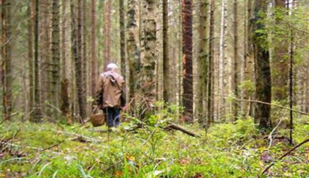 В області вже кілька днів шукають чоловіка, який зник безвісти В області вже кілька днів шукають чоловіка, який зник безвісти