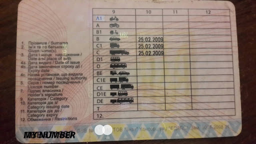 Частину українських водіїв хочуть змусити перездавати на права: кого це стосується Частину українських водіїв хочуть змусити перездавати на права: кого це стосується