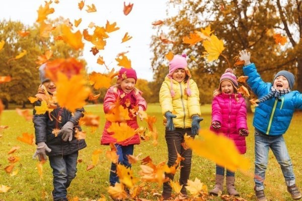 Осінні канікули у школах можуть розпочатися на 10 днів раніше Осінні канікули 2020 у школах можуть розпочатися на 10 днів раніше через місцеві вибори