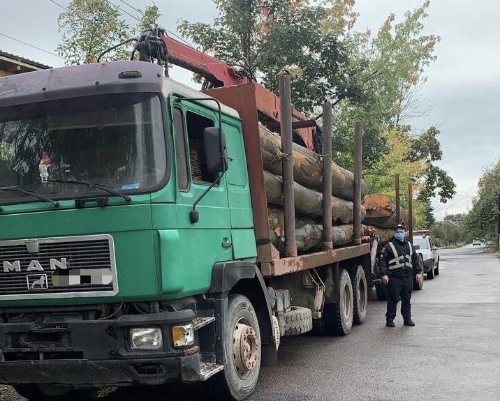 На Тячівщині поліцейські перевіряють законність рубки лісу На Тячівщині поліцейські перевіряють законність рубки лісу