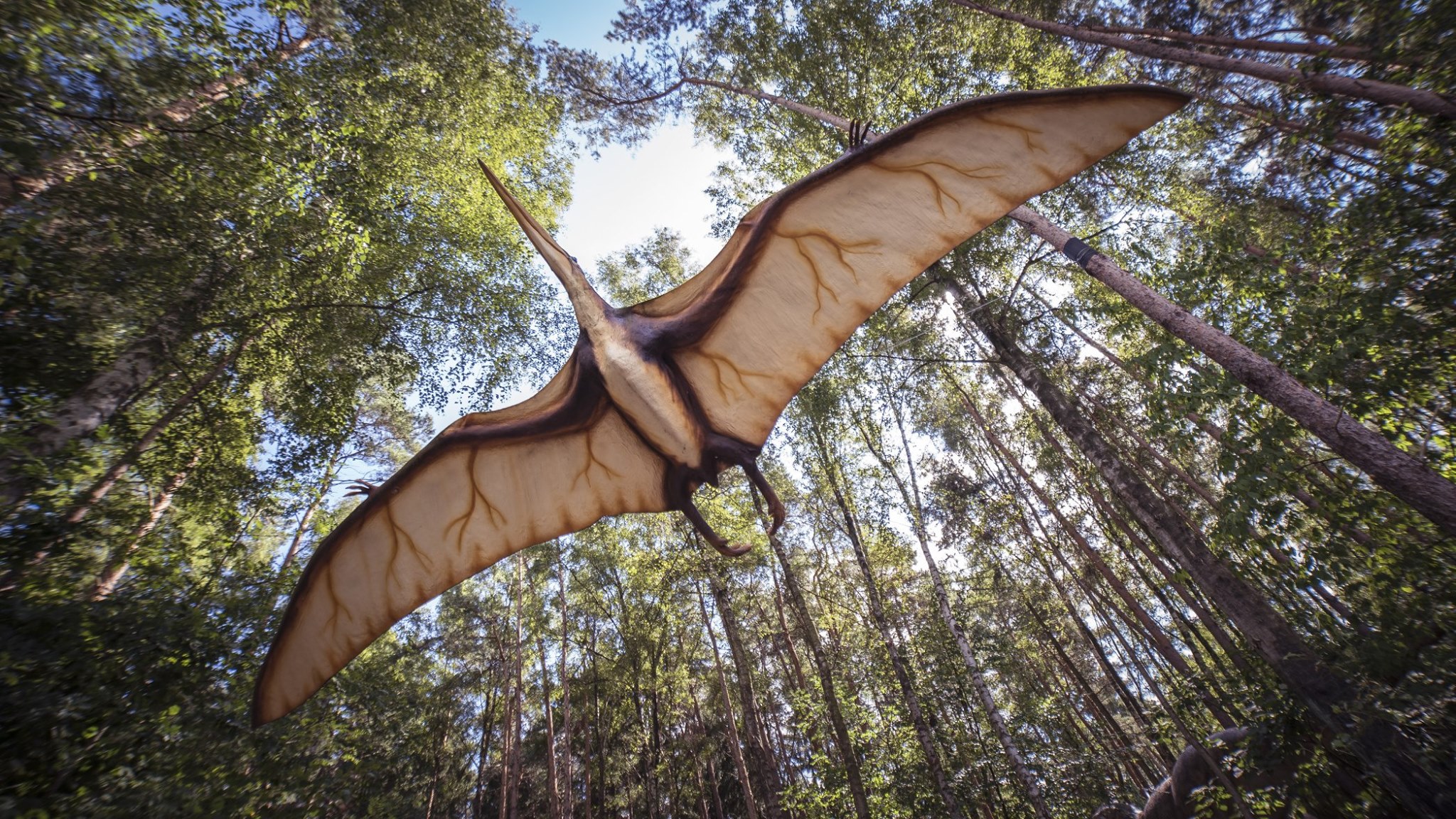 Парк динозаврів та розваг "DinoPark" на Закарпатті: коли відкриття та графік роботи Парк динозаврів та розваг "DinoPark Берегово" на Закарпатті: коли відкриття та графік роботи