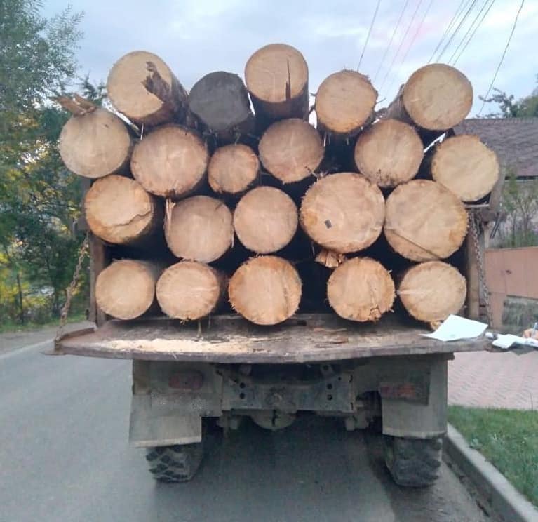 Поліція розслідує факт незаконного перевезення деревини Поліція розслідує факт незаконного перевезення деревини
