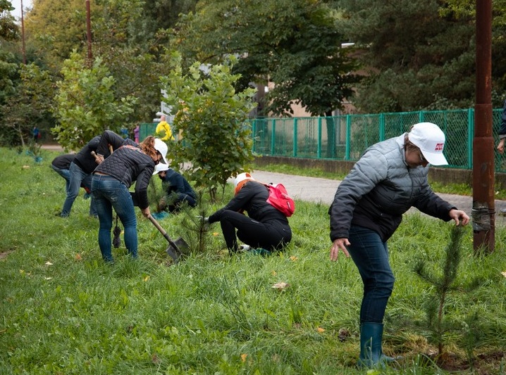 Ужгородці долучились до акції "Мільйон дерев за добу" Ужгородці долучились до акції "Мільйон дерев за добу"