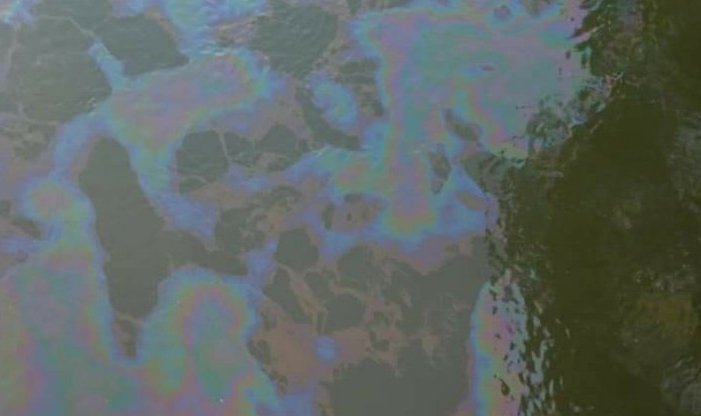 "Це не катастрофа", – начальник басейнового управління водних ресурсів річки Тиса про пляму в Ужі "Це не катастрофа", – начальник басейнового управління водних ресурсів річки Тиса про пляму в Ужі
