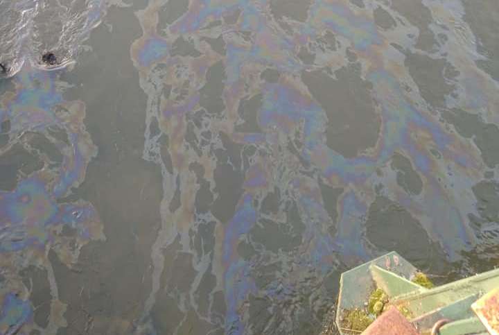 Ужгородська міськрада озвучила попередні результати аналізу води в Ужі Ужгородська міськрада озвучила попередні результати аналізу води в Ужі