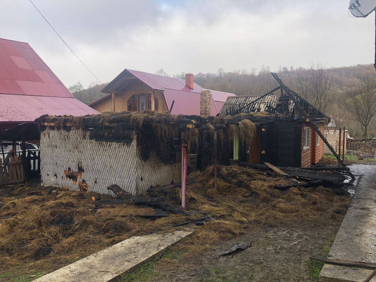 Загинула корова та кури: рятувальники розповіли детальніше про пожежу у селі Загинула корова та кури: рятувальники розповіли детальніше про пожежу у селі