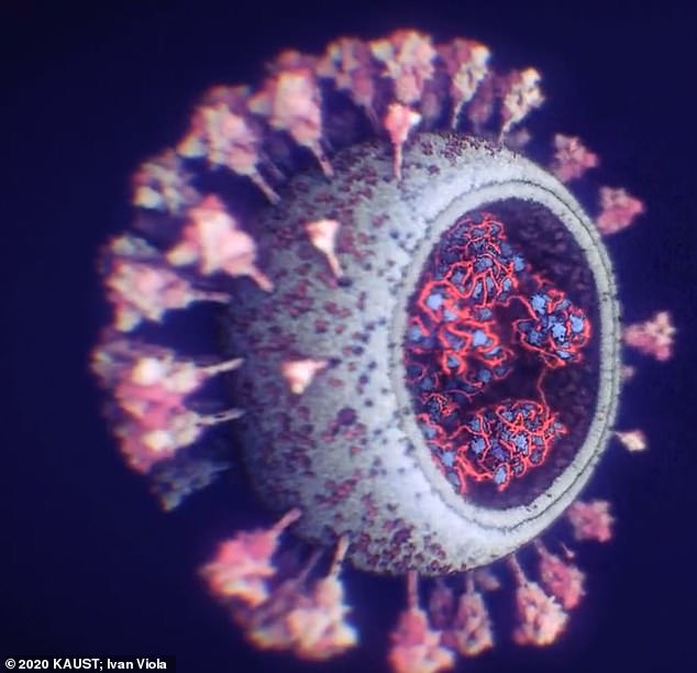 Світом шириться новий штам коронавірусу: що про нього відомо