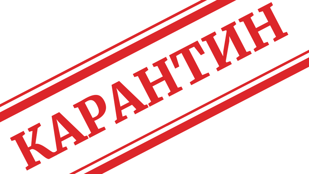Через тиждень стане відомо, чи введуть в Україні повний локдаун Через тиждень стане відомо, чи введуть в Україні повний локдаун