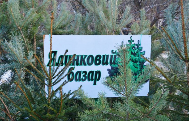 В Ужгороді буде новорічний ялинковий ярмарок У Боздоському парку в Ужгороді буде новорічний ялинковий ярмарок.