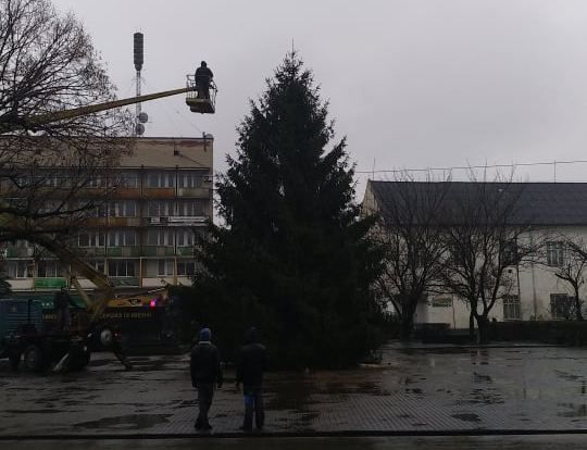 У центрі Виноградова встановили головну ялинку міста У центрі Виноградова встановили головну ялинку міста