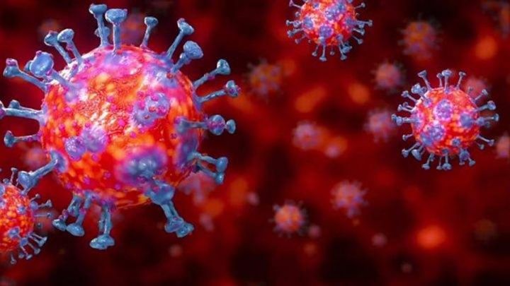 Новим штамом коронавіруса перехворів заробітчанин із Закарпаття, – лікар-інфекціоніст