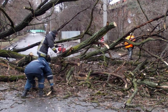 Погіршення погодних умов: сильний вітер наробив шкоди на Закарпатті Погіршення погодних умов: сильний вітер наробив шкоди на Закарпатті