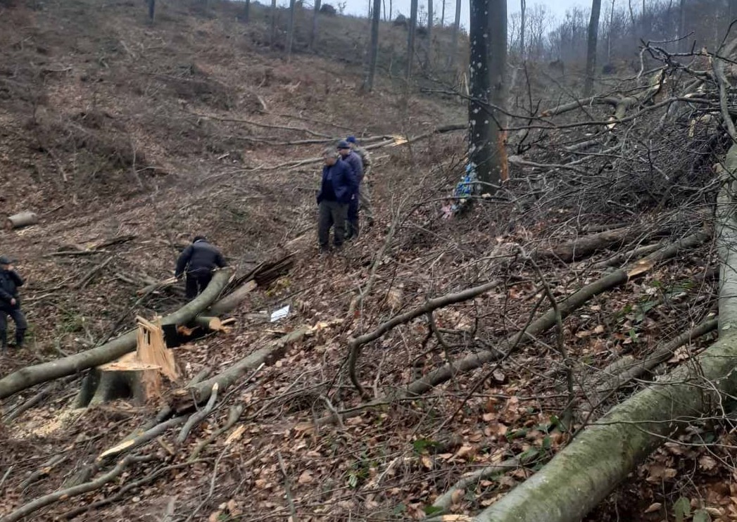Трагедія на Мукачівщині: загинув чоловік. Встановлено попередню причину смерті Трагедія на Мукачівщині: загинув чоловік. Встановлено попередню причину смерті