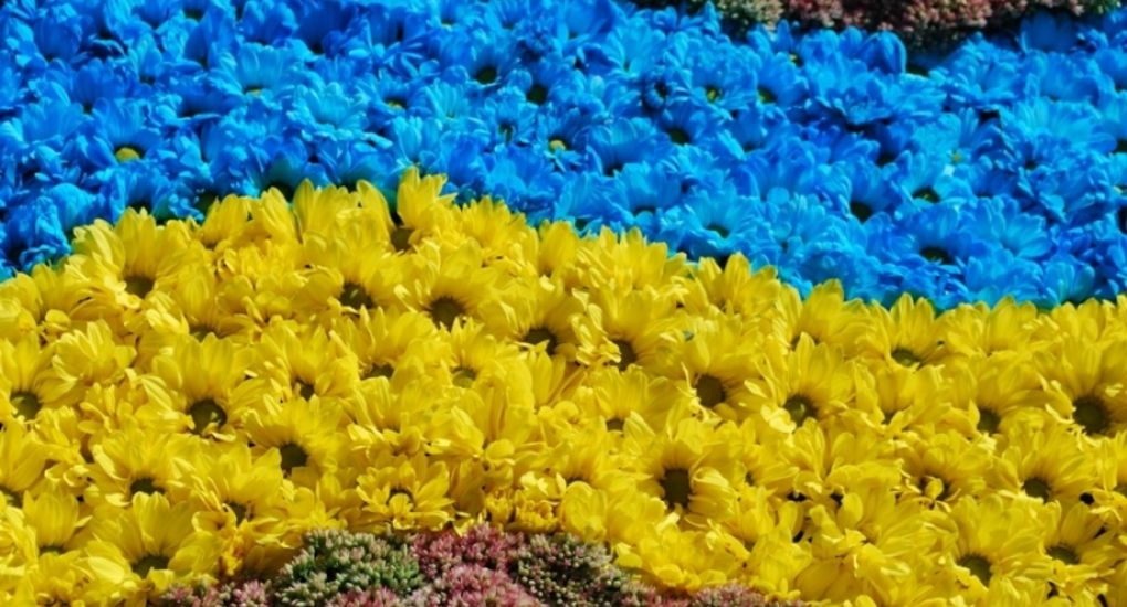 Мукачівські школярі серед переможців Всеукраїнської акції: стали відомі імена призерів Мукачівські школярі серед переможців Всеукраїнської акції: стали відомі імена призерів