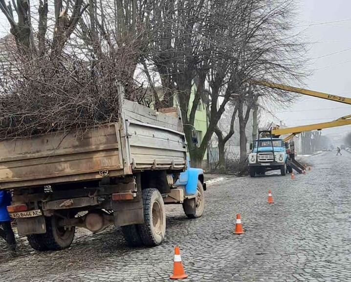 У Мукачеві видалять аварійно-небезпечні дерева