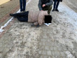 Трагедія в Ужгороді: чоловік впав на тротуарі і помер Трагедія в Ужгороді: чоловік впав на тротуарі і помер