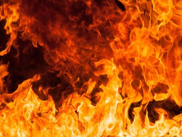 Вночі у Мукачеві вирувала масштабна пожежа. Загинуло багато тварин Вночі у Мукачеві вирувала масштабна пожежа. Загинуло багато тварин