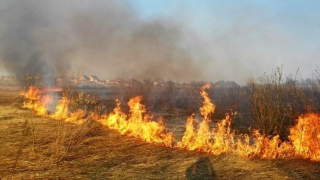 Українців очікують нові штрафи: подробиці Українців очікують нові штрафи: подробиці