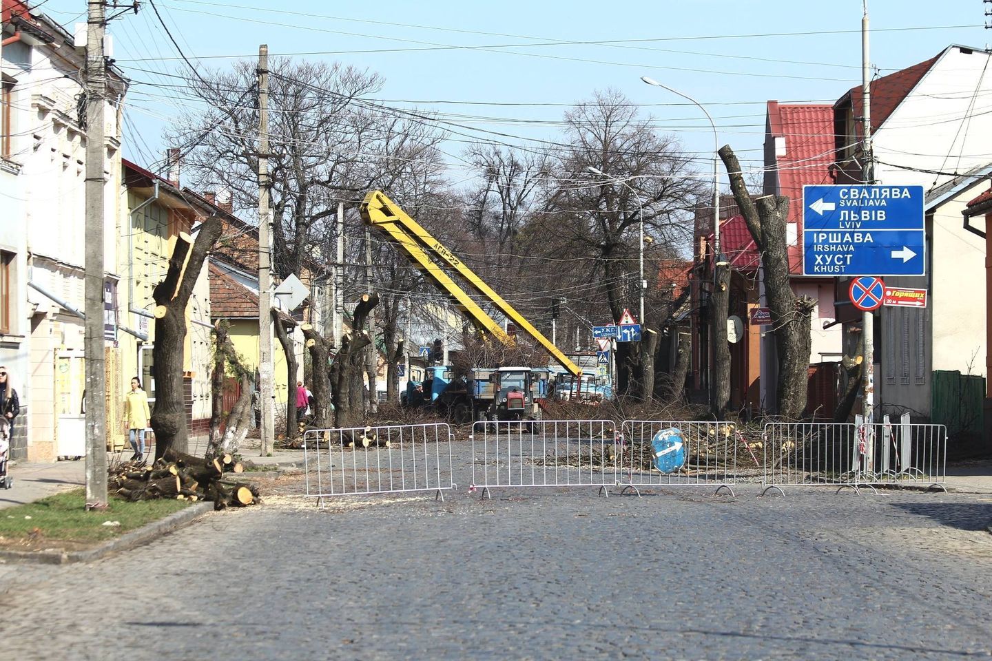 У Мукачівській громаді обстежать та видалять аварійні дерева У Мукачівській громаді обстежать та видалять аварійні дерева
