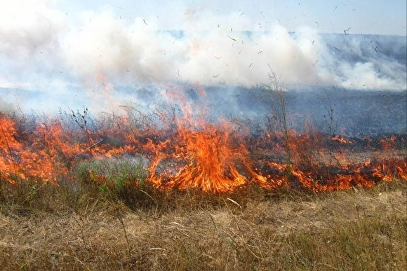 У селі на Мукачівщині вигоріли 3 гектари трави У селі на Мукачівщині вигоріли 3 гектари трави