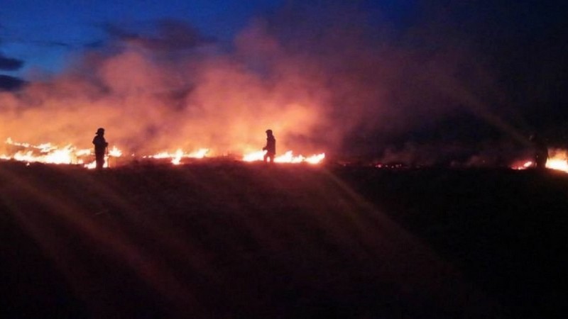 Вночі поблизу Мукачева вирувала велика пожежа Вночі поблизу Мукачева вирувала велика пожежа
