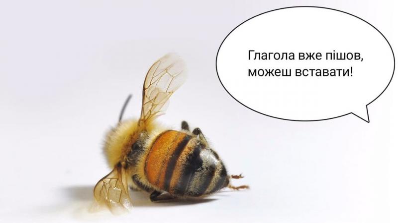 "Мертві" бджоли "воскресли": соцмережі вибухнули жартами "Мертві" бджоли "воскресли": соцмережі вибухнули жартами