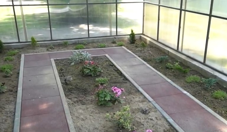 В одному із ліцеїв Мукачева облаштували ботанічний сад В одному із ліцеїв Мукачева облаштували ботанічний сад