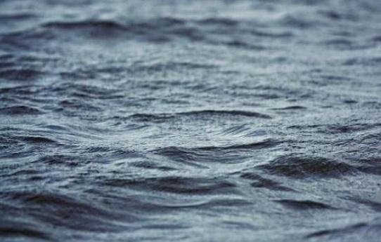 В одній із водойм міста знайшли тіло молодого хлопця, — соцмережі В одній із водойм міста знайшли тіло молодого хлопця, — соцмережі