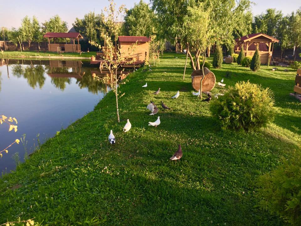 ФОТО: Picnic park Де орендувати альтанку (беседку) біля Мукачева та Ужгорода та які ціни 2021
