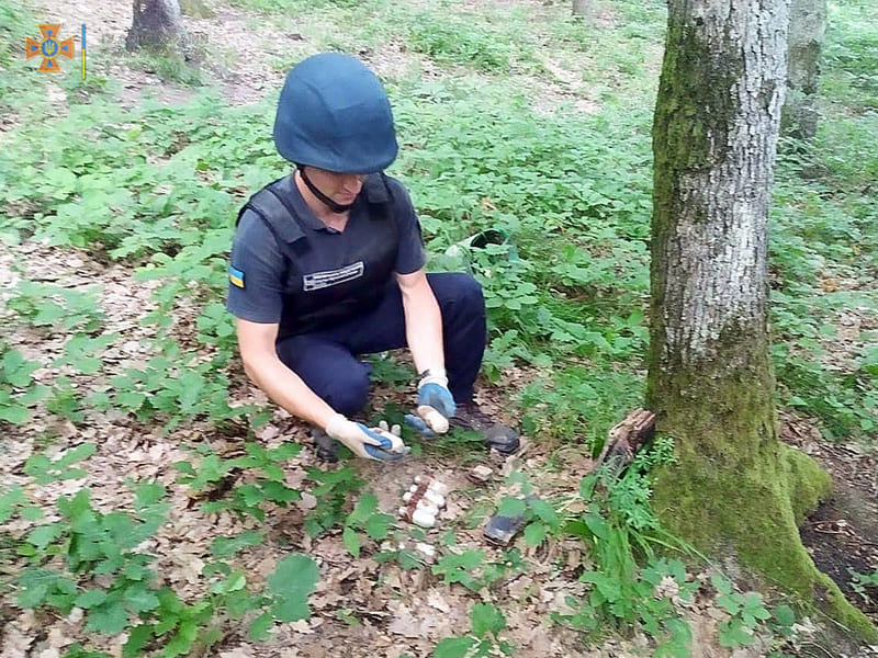 У лісі на Мукачівщині виявили гранати та набої: фото з місця знахідки У лісі на Мукачівщині виявили гранати та набої: фото з місця знахідки