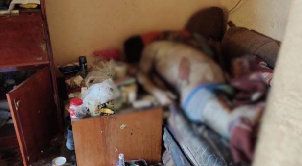 Моторошна знахідка в одній із багатоповерхівок Мукачева: шокуюче відео Моторошна знахідка в одній із багатоповерхівок Мукачева: шокуюче відео