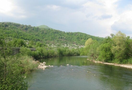 У річці Латориця втопився чоловік: що відомо про трагічний випадок У річці Латориця втопився чоловік: що відомо про трагічний випадок