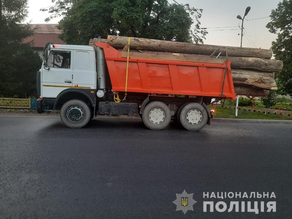 Поліцейські затримали вантажівку з нелегальною деревиною Поліцейські затримали вантажівку з нелегальною деревиною