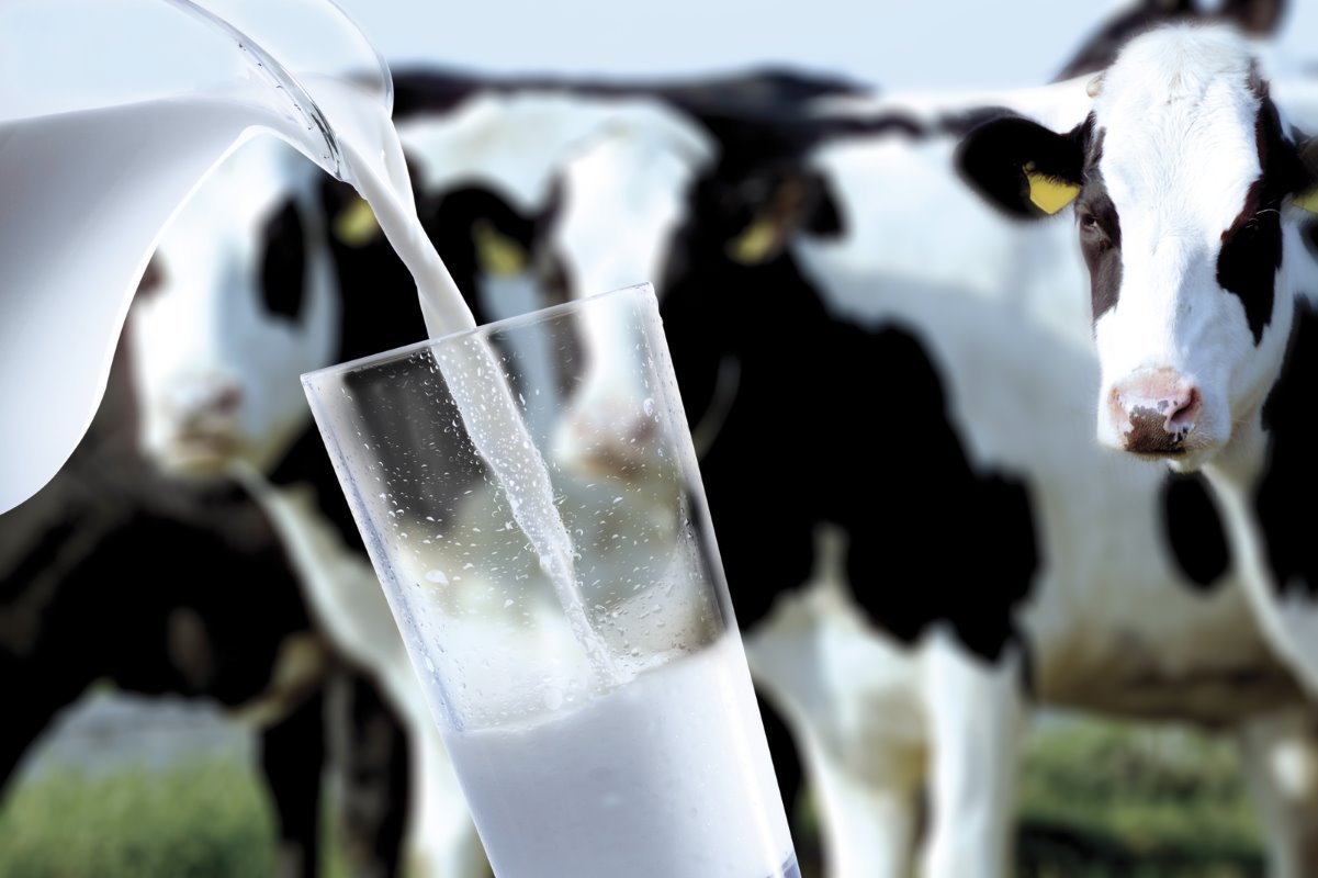 В Україні зростуть ціни на молочну продукцію В Україні зростуть ціни на молочну продукцію: названо причини
