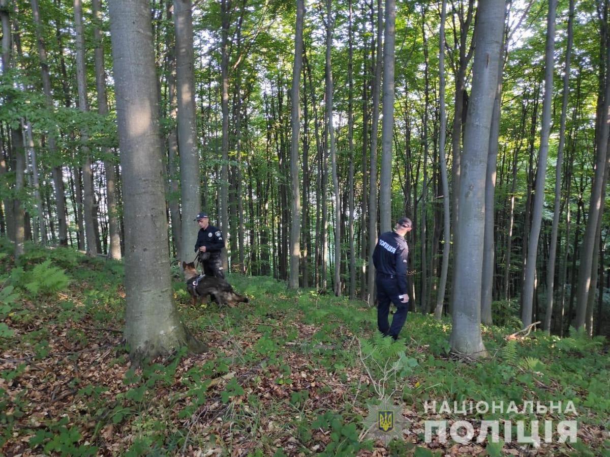 Опубліковано фото дітей, яких знайшли у лісі Опубліковано фото дітей, яких знайшли у лісі на Закарпатті