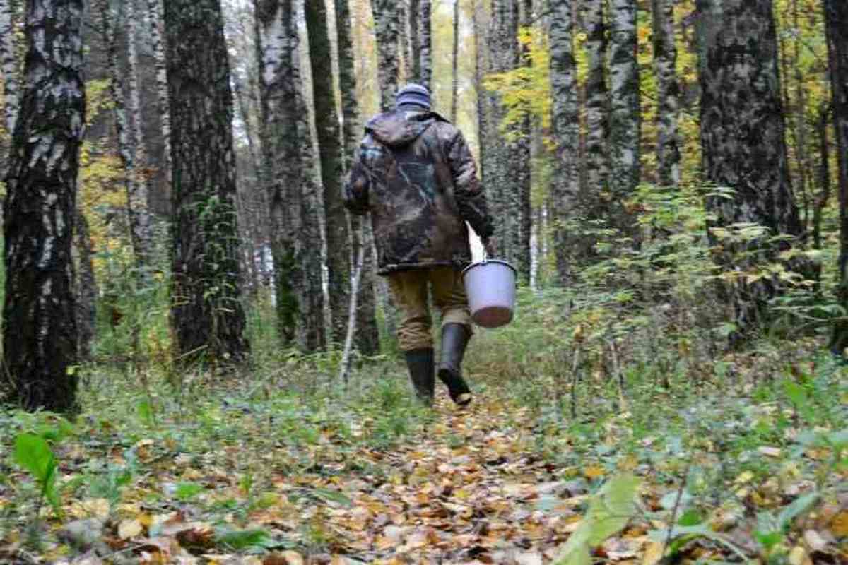 На Закарпатті припинили пошуки чоловіка, який зник кілька тижнів тому На Закарпатті припинили пошуки чоловіка, який зник кілька тижнів тому