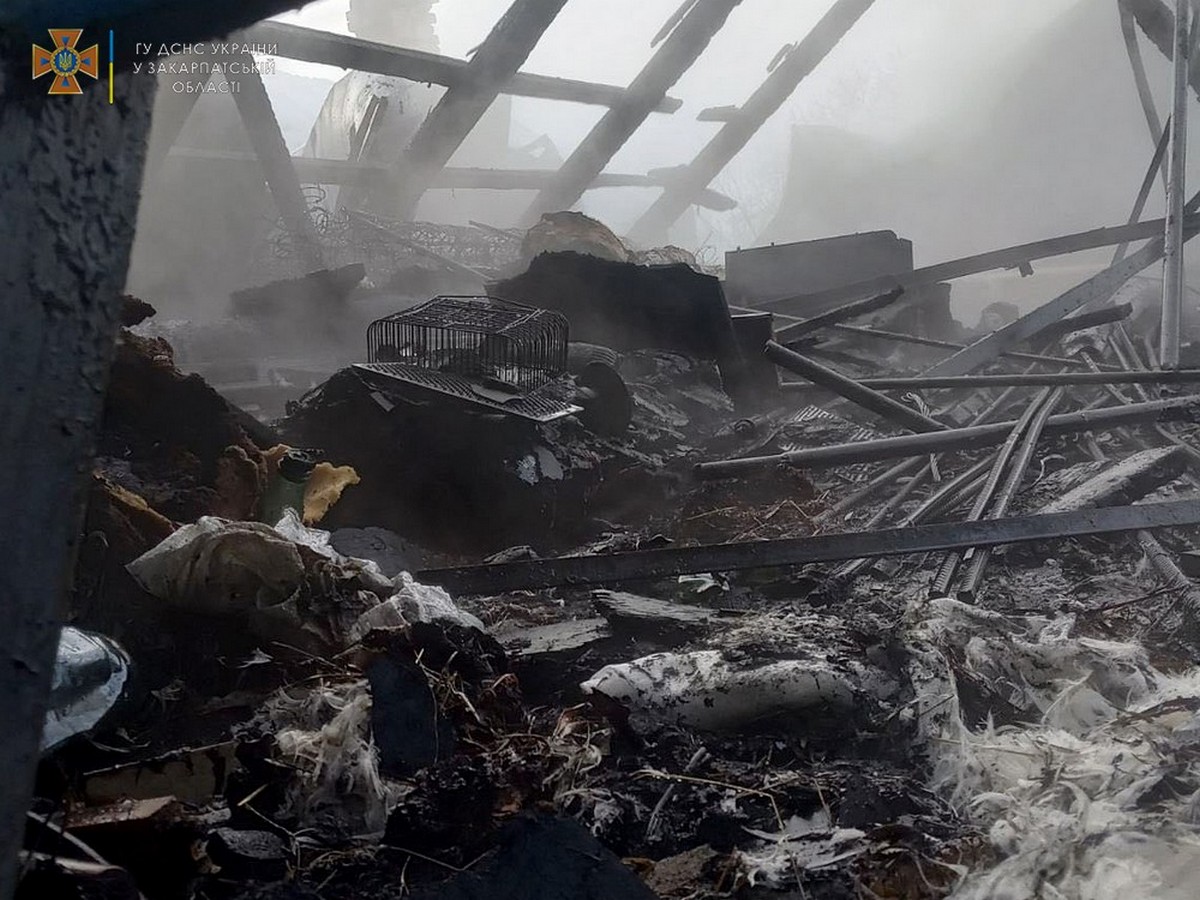 Рятувальники ліквідували пожежі на двох приватних обійстях Рятувальники ліквідували пожежі на двох приватних обійстях