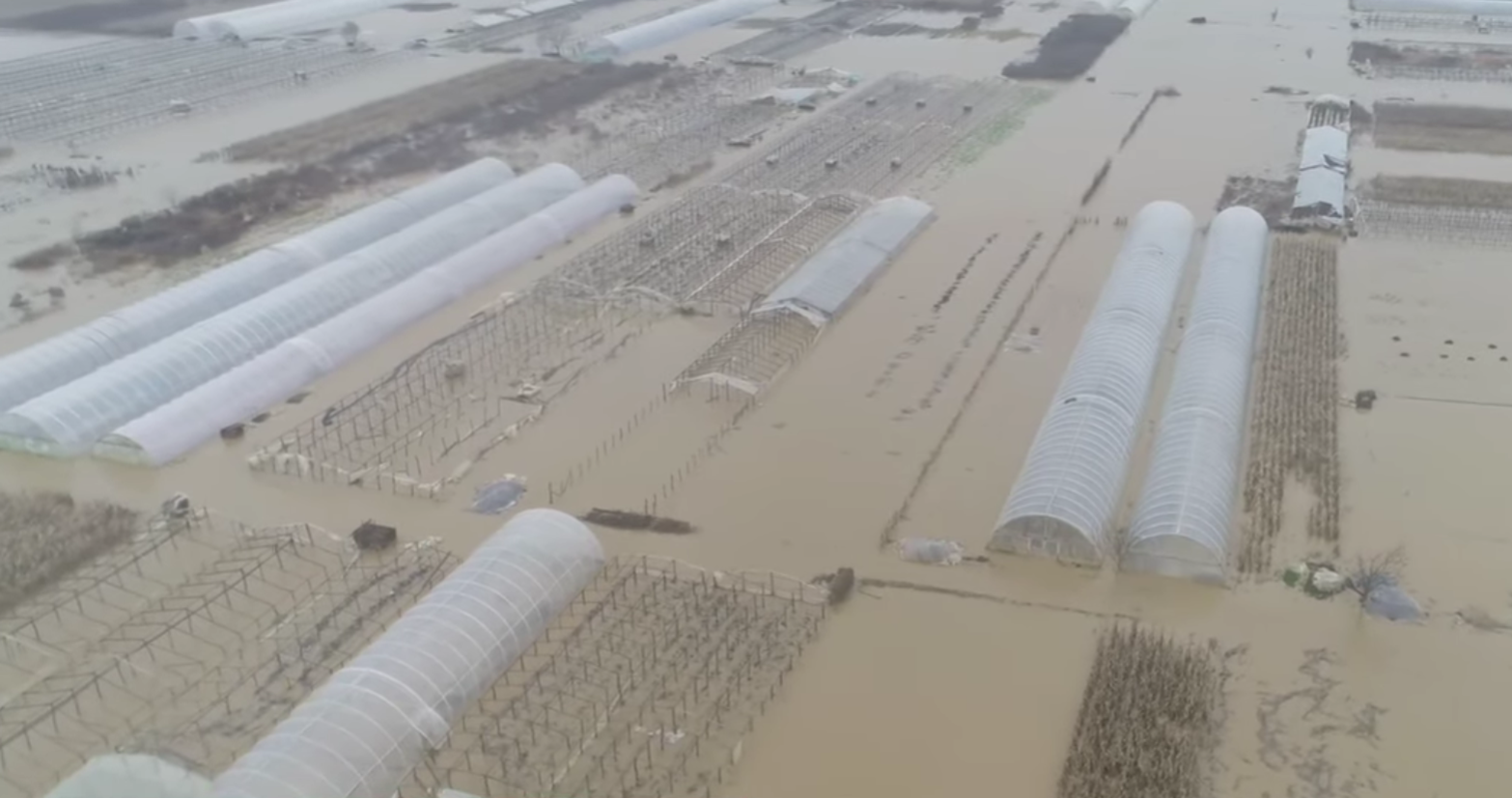 У мережі показали страхітливе відео паводку на Закарпатті