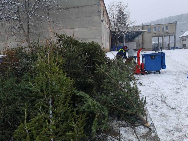 Ужгородцям розповіли, куди можна викинути новорічні ялинки Ужгородцям розповіли, куди можна викинути новорічні ялинки
