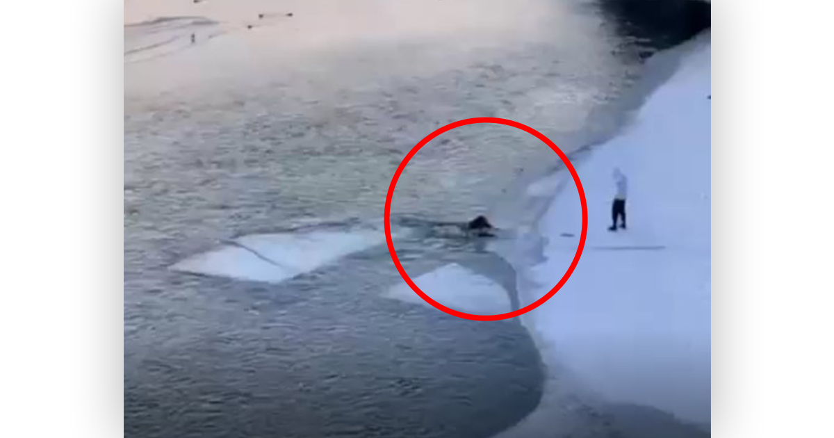В Ужгороді двоє дітей грались на кризі, один з них впав у річку: відео моменту