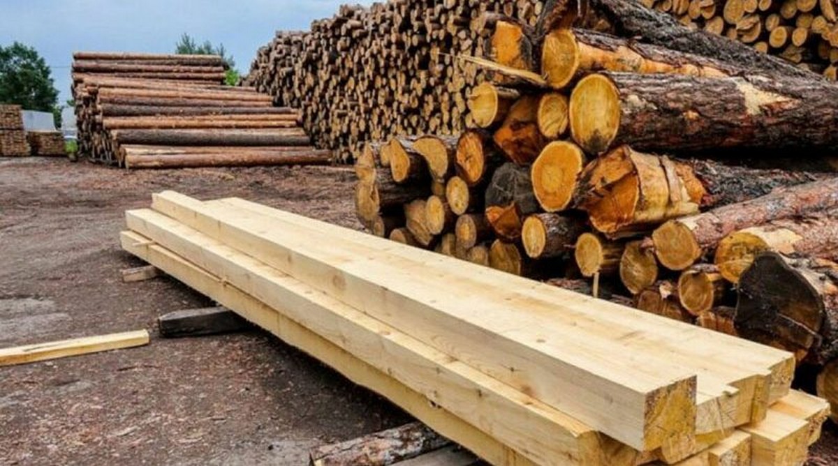 Закарпатські правоохоронці вилучили незаконно заготовлену деревину, яку відправлять на потреби ЗСУ