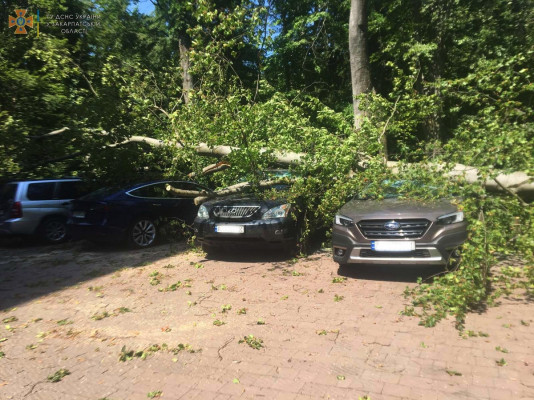Subaru, Ford, Lexus і Tesla: що сталось поблизу одного з готелів у селі Карпати 