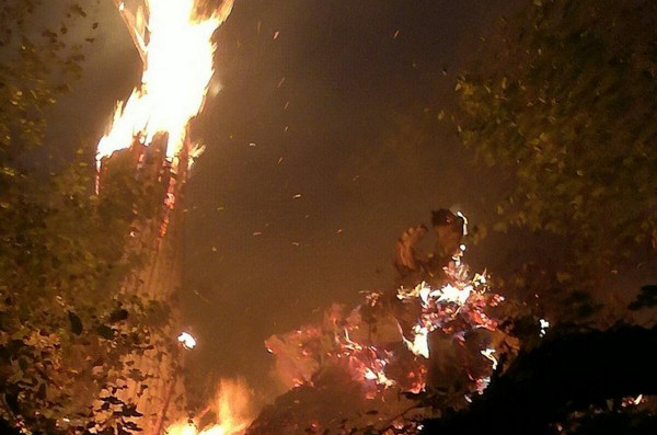 Велика пожежа на Закарпатті: рятувальники та місцеве населення всю ніч гасили вогонь