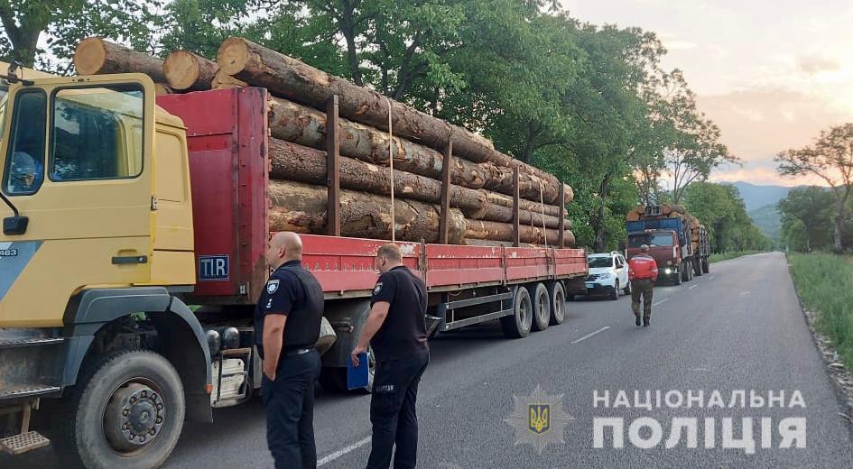 Дві вантажівки, "набиті" під верх нелегальною деревиною, затримали на Закарпатті Дві вантажівки, "набиті" під верх нелегальною деревиною, затримали на Закарпатті