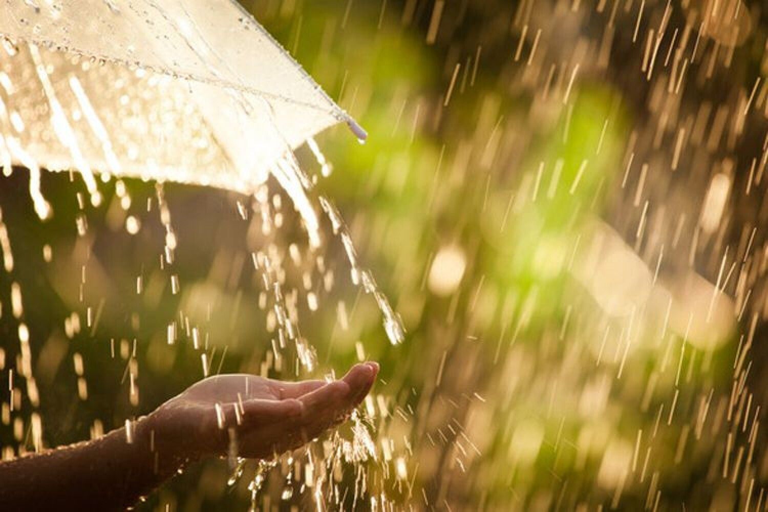 Погода на вихідні в Закарпатті: чи варто очікувати дощу