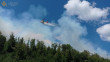 На Закарпатті понад добу гасять масштабну лісову пожежу