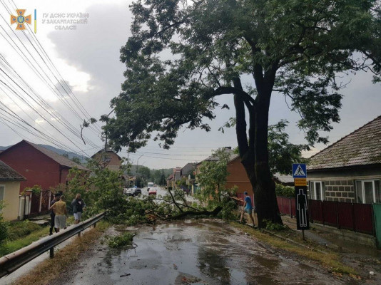 Повалені дерева і знеструмлені села: рятувальники показали наслідки негоди