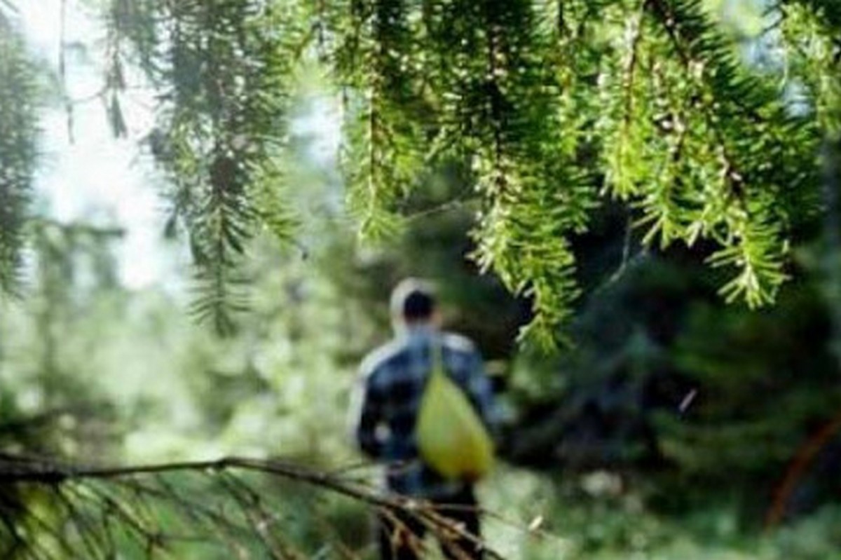 На Рахівщині рятувальники більше 12 годин шукають зниклого грибника На Рахівщині рятувальники більше 12 годин шукають зниклого грибника