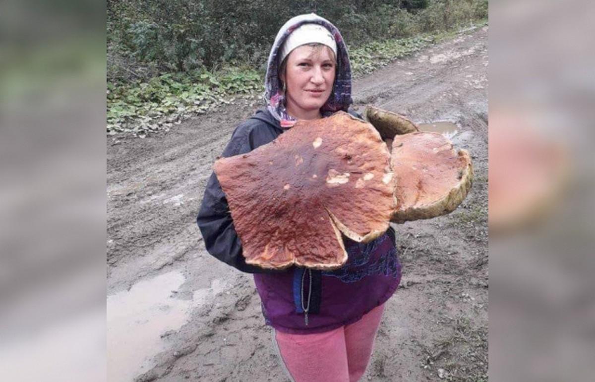 На Закарпатті знайшли 5-кілограмовий гриб-гігант