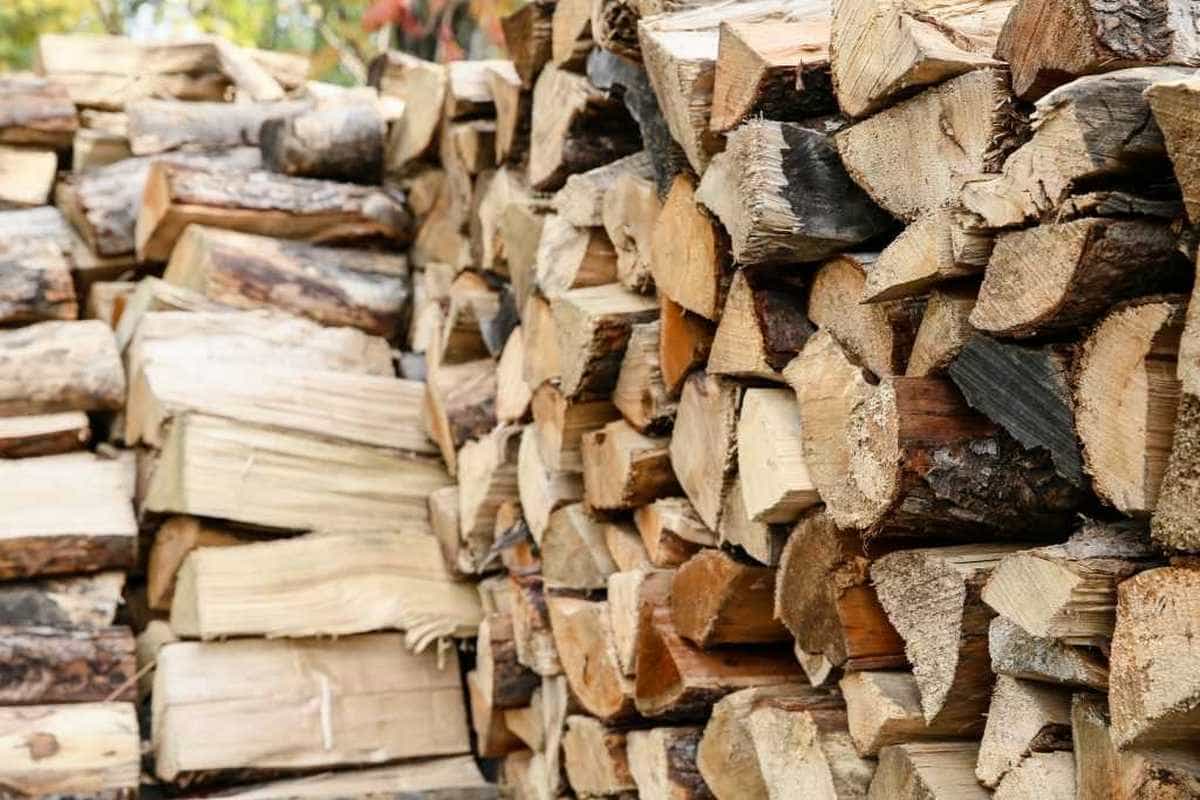 Жителі кількох областей безкоштовно отримають дрова на зиму